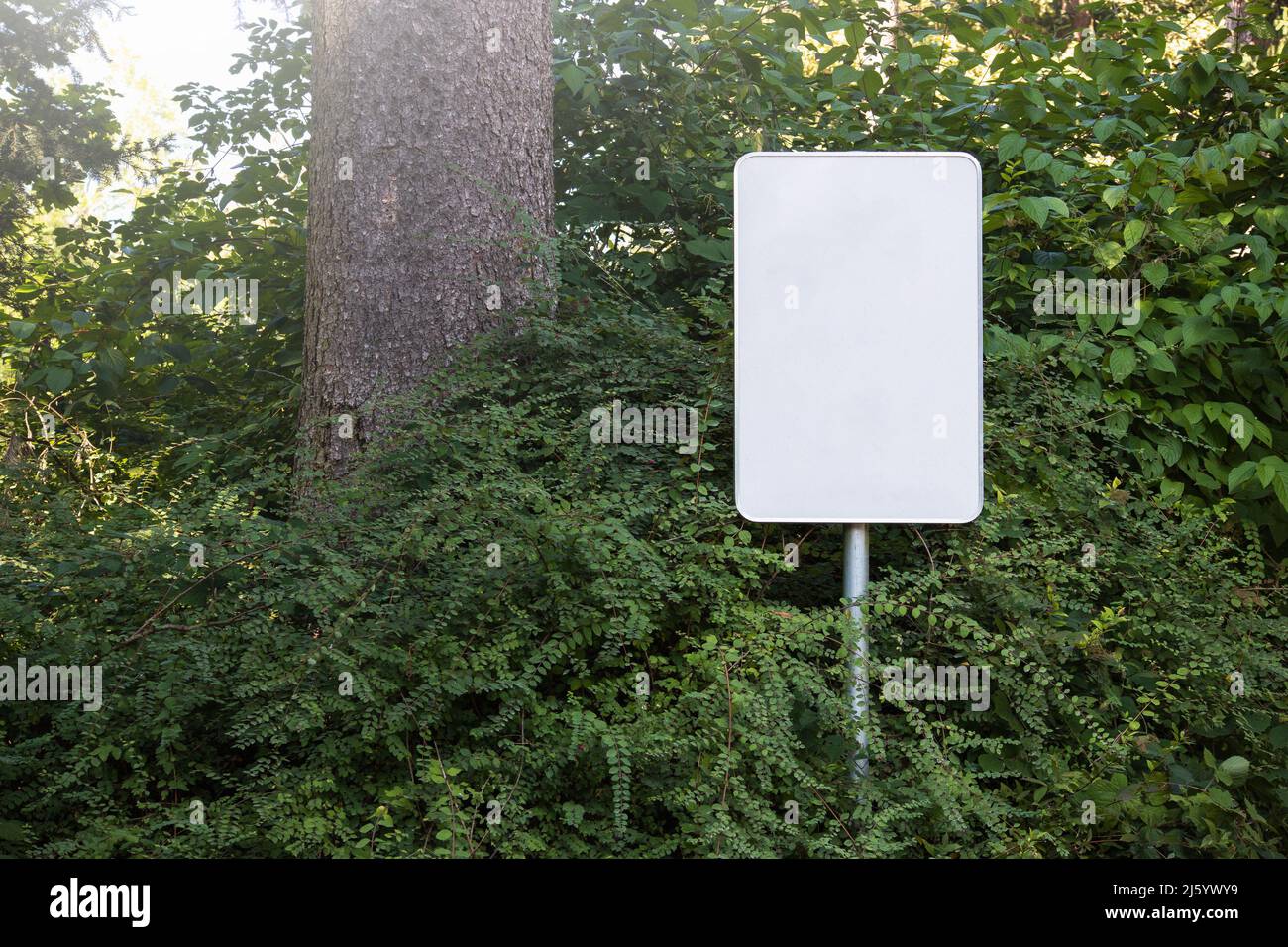 Leere leere Schildtafel an einem Pfahl in einem Wald Stockfoto