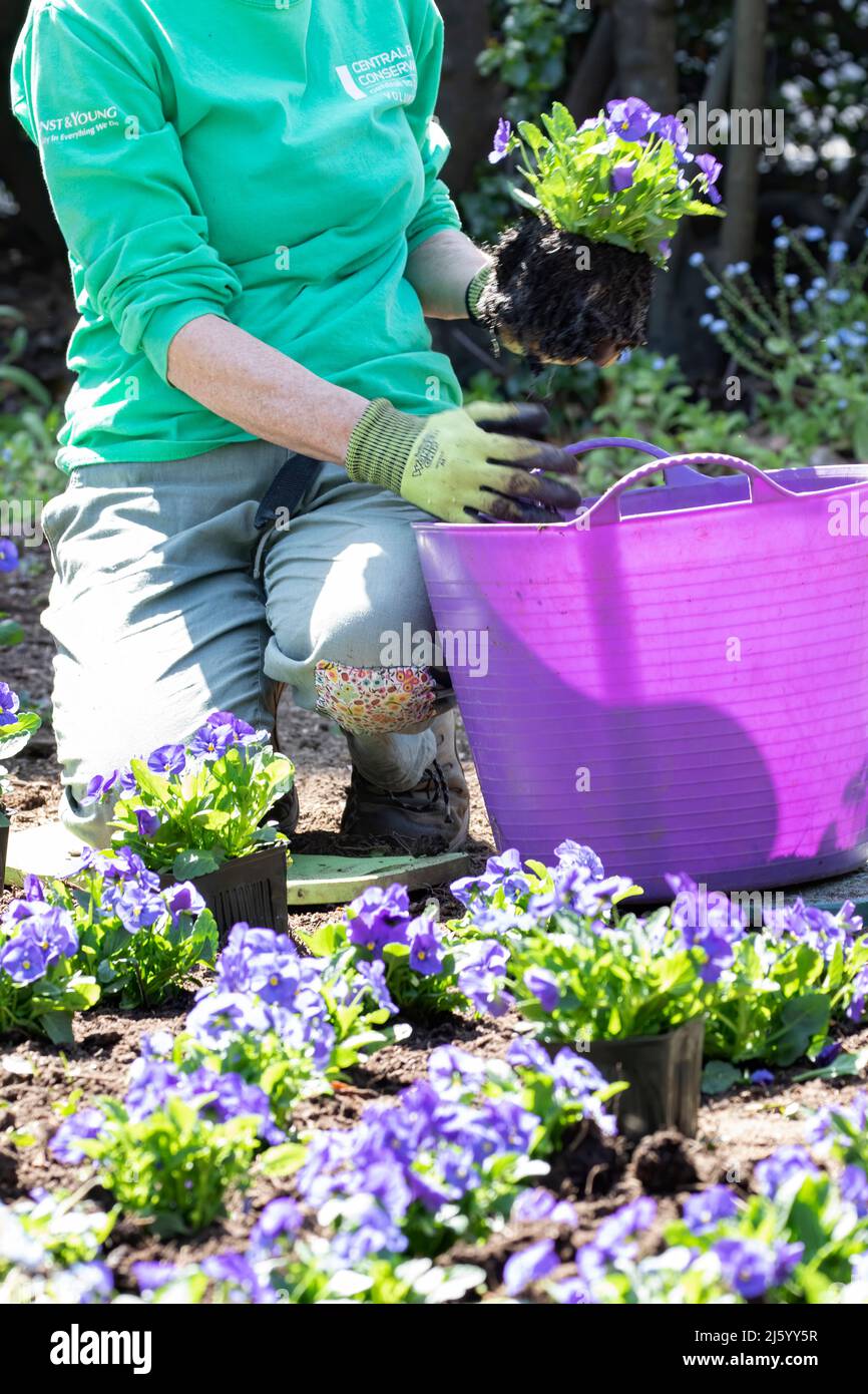 Gartenarbeit Stockfoto