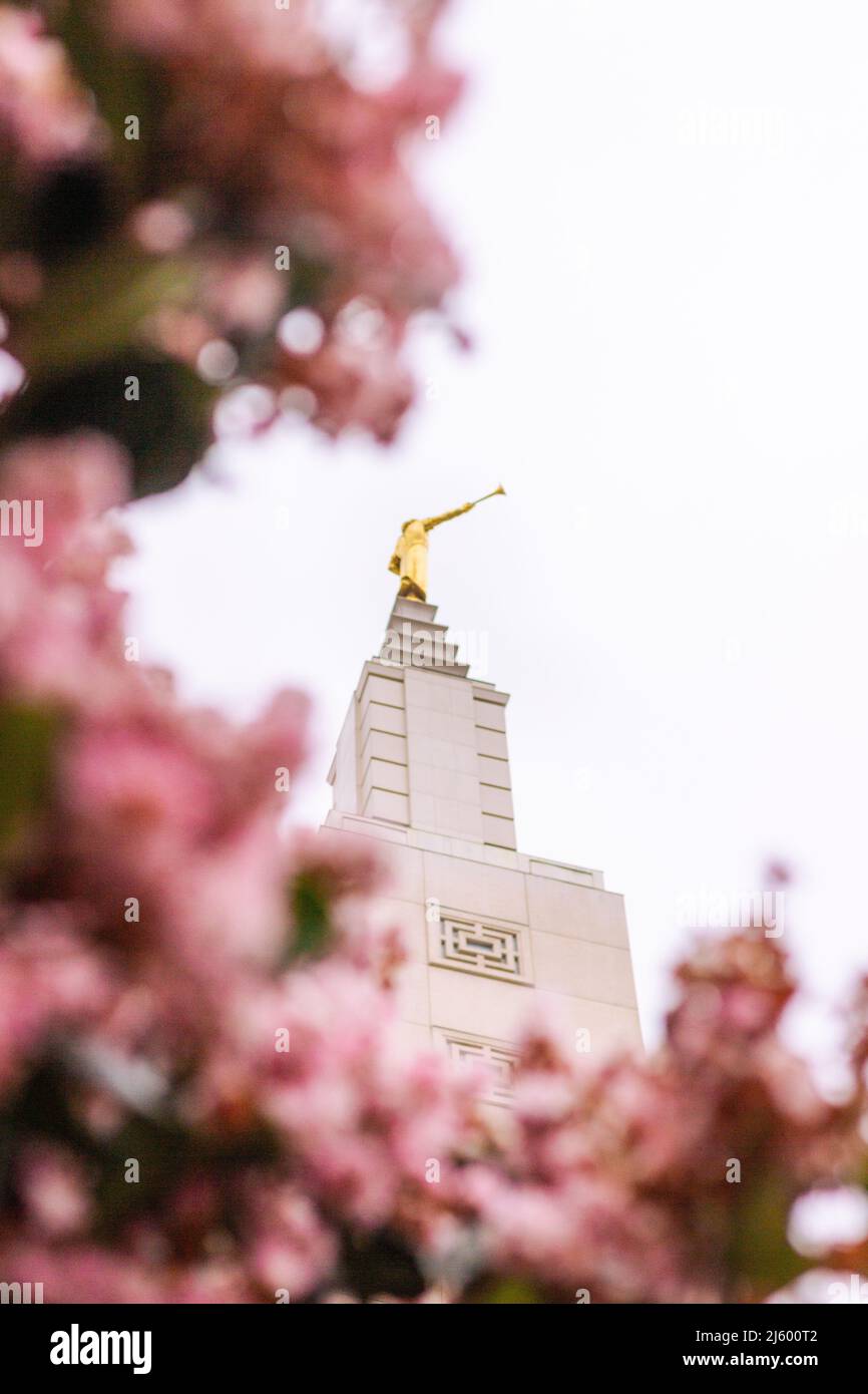 Blüten im Tempel der Kirche Jesus Christus der Heiligen der letzten Tage in Los Angeles, Kalifornien Stockfoto