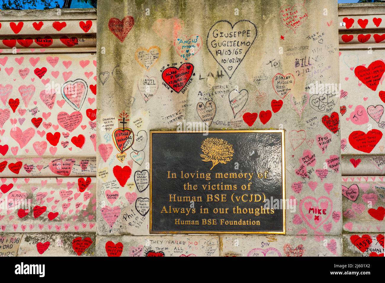 Westminster, London, Großbritannien - 20.04.2022: Die Nationale COVID Gedenkmauer mit roten Herzen mit den Namen, Todesdaten der Covid-Opfer. High qu Stockfoto