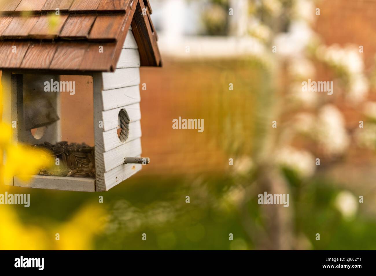 Vogelfutterhäuschen in Form eines kleinen Hauses mit Glas an den Seiten, um Vögel davon essen zu sehen. Vogelhaus aus Holz in weiß und braun, Vogelhaus für Stockfoto