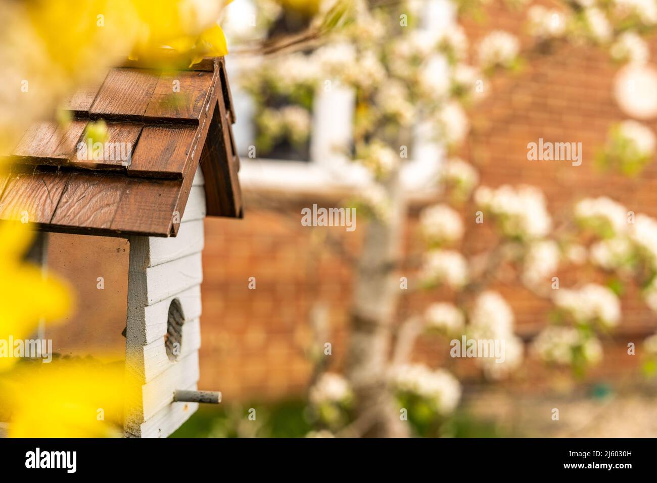 Vogelfutterhäuschen in Form eines kleinen Hauses mit Glas an den Seiten, um Vögel davon essen zu sehen. Vogelhaus aus Holz in weiß und braun, Vogelhaus für Stockfoto