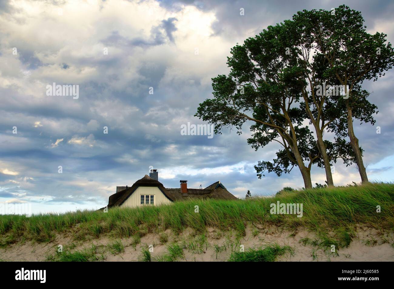 Traditionelles Strandhaus hinter den Sanddünen in der Nähe der Ostsee Stockfoto