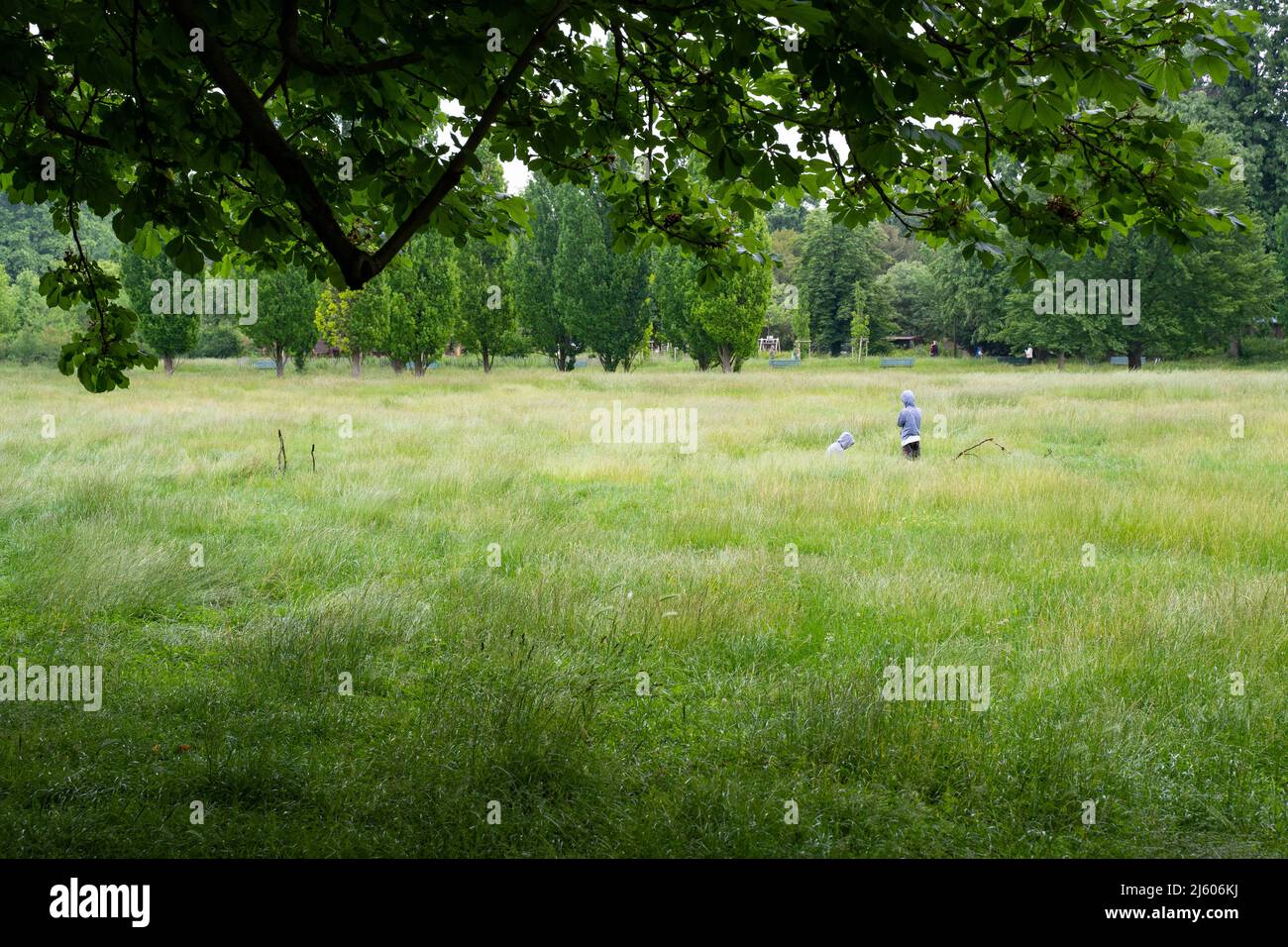 Parc de la Tête d'Or (Gold im Park) in Lyon, Frankreich. 2020 Stockfoto