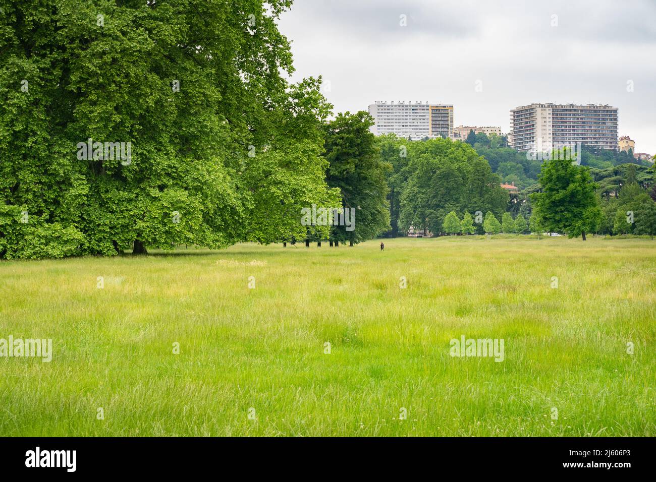 Parc de la Tête d'Or (Gold im Park) in Lyon, Frankreich. 2020 Stockfoto