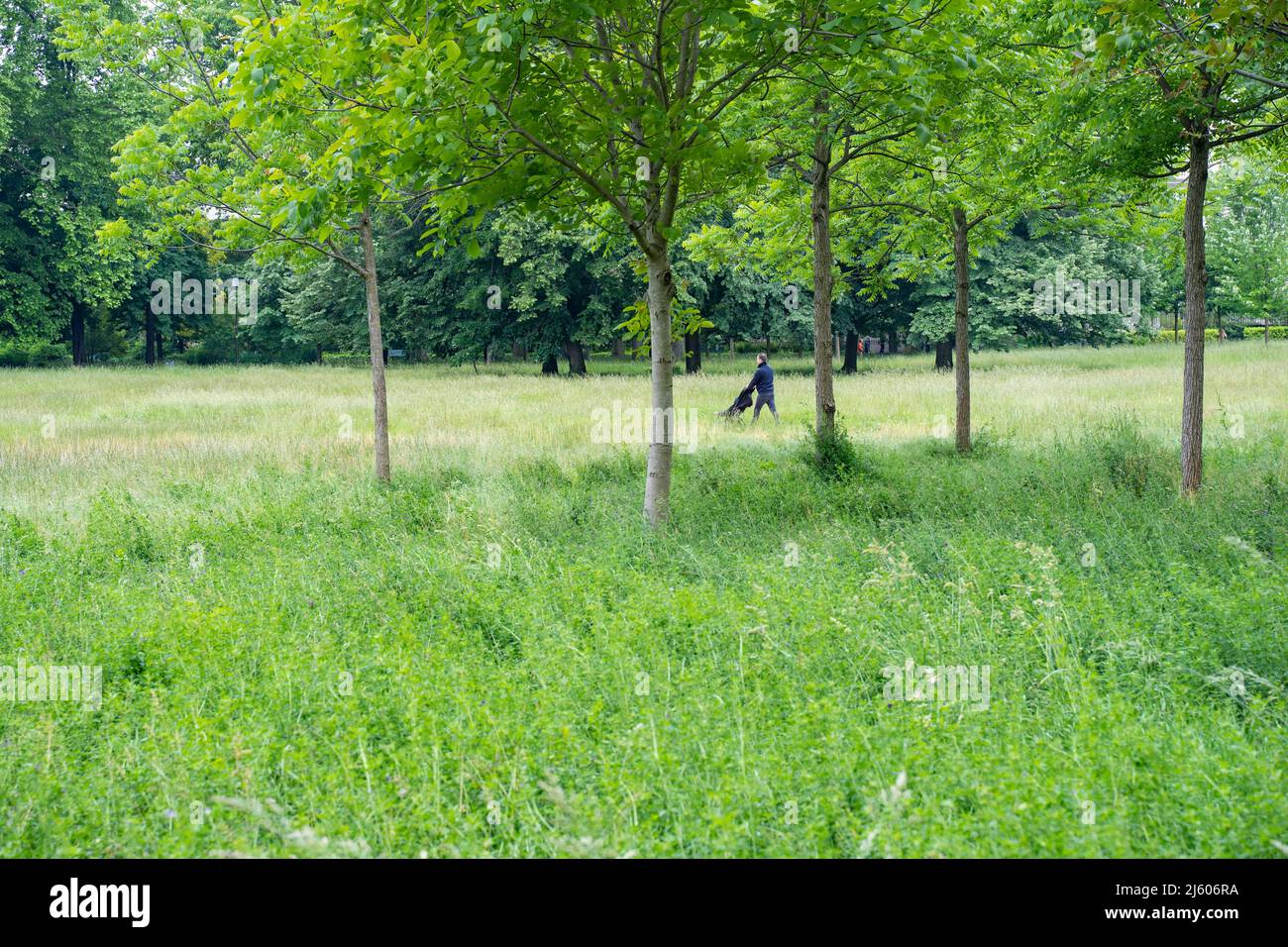 Parc de la Tête d'Or (Gold im Park) in Lyon, Frankreich. 2020 Stockfoto