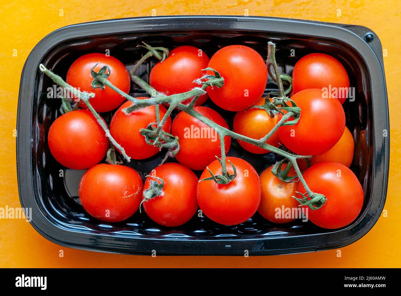 In New York wurden am Dienstag, dem 19. April 2022, in der Tablettverpackung heiße Tomaten angebaut. (© Richard B. Levine) Stockfoto