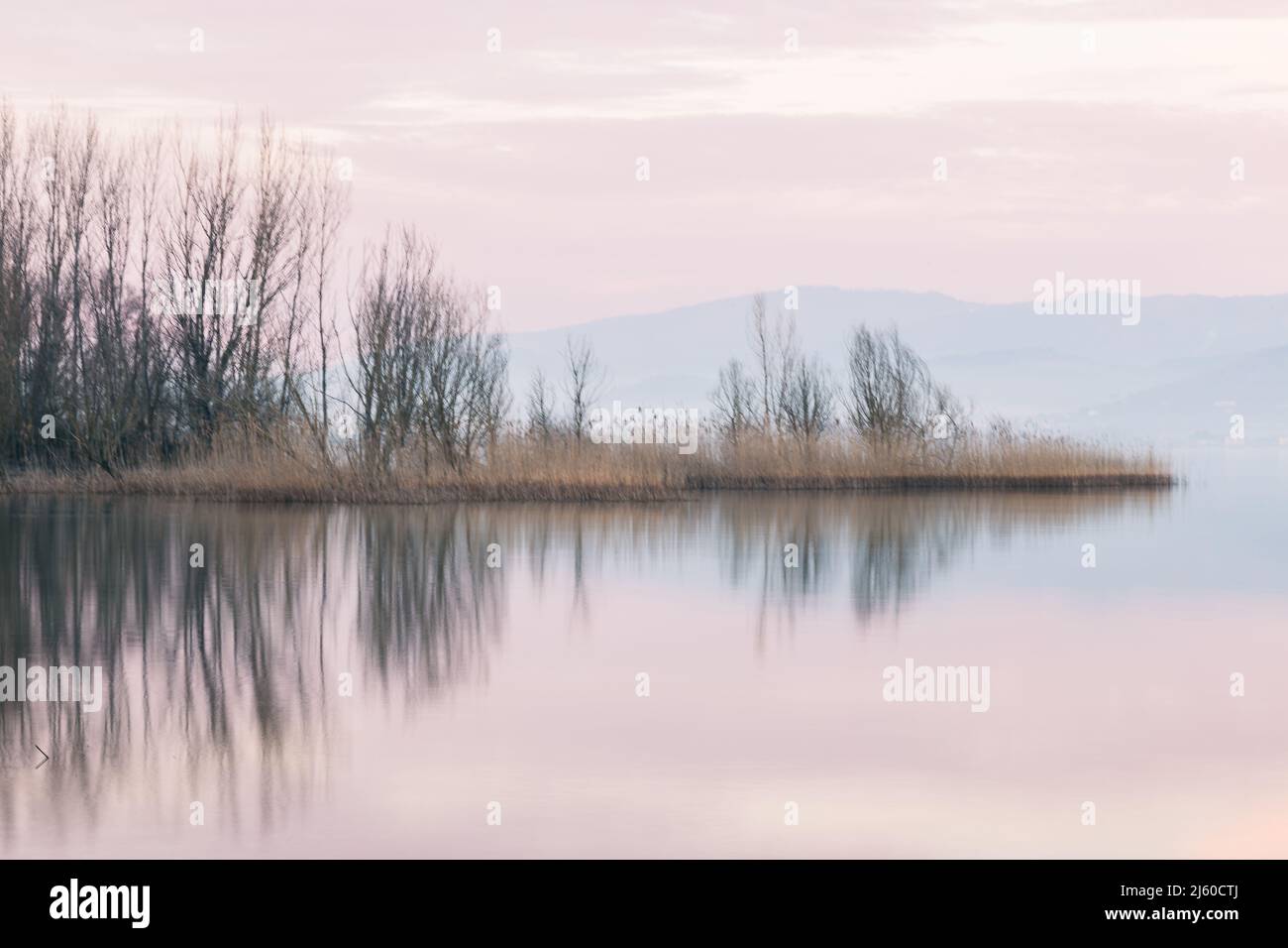 Perfekt symmetrische Bäume spiegeln sich auf einem See in der Dämmerung Stockfoto