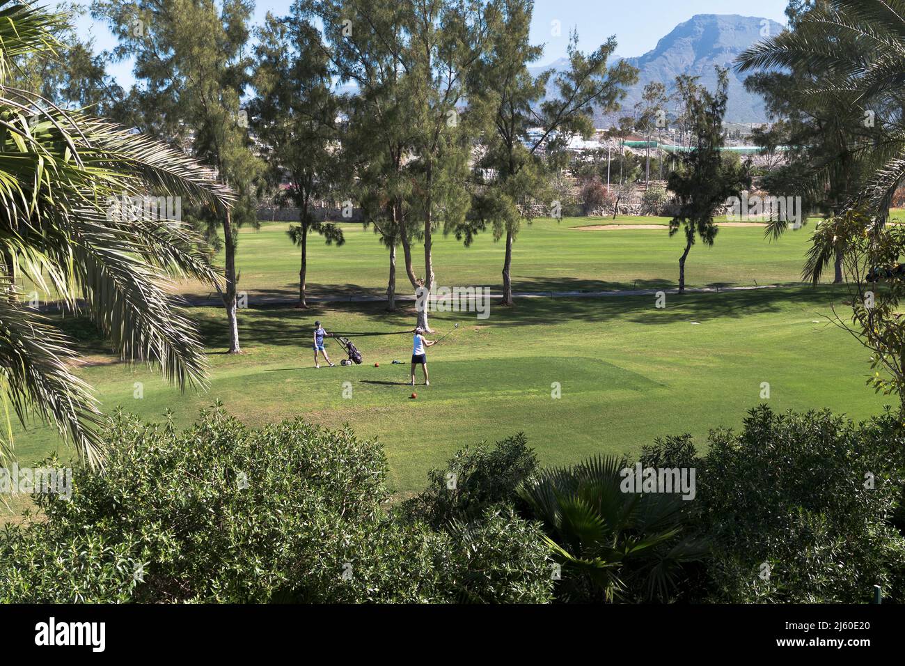 dh Golf PLAYA DE LAS AMERICA TENERIFFA Frauen Golfer Abschlag Damen Tee Golf zusammen Stockfoto