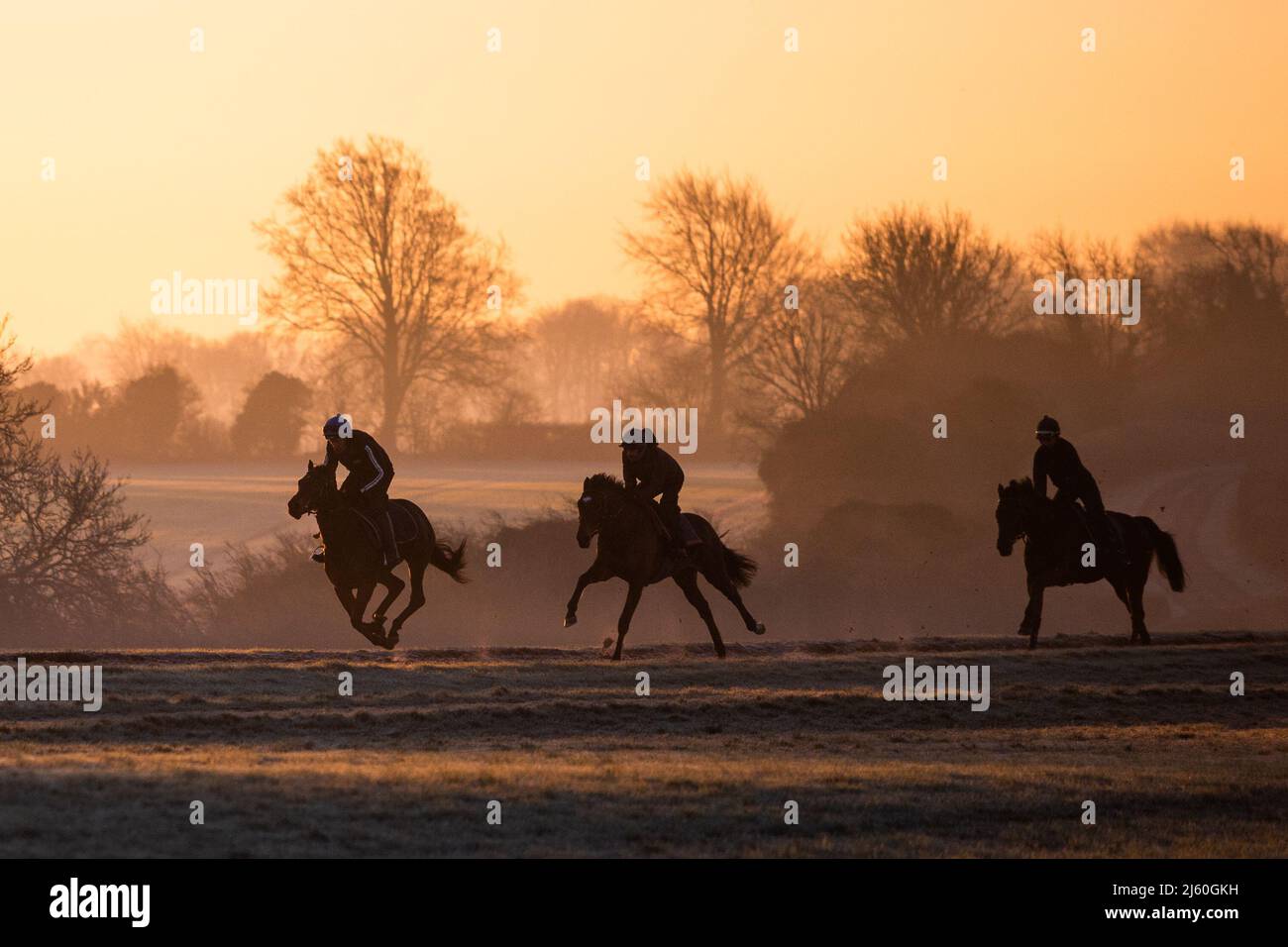 Rennpferde trainieren bei Sonnenaufgang in den Galops über dem Oberen Lambourn in den Berkshire Downs. April 2022 Stockfoto