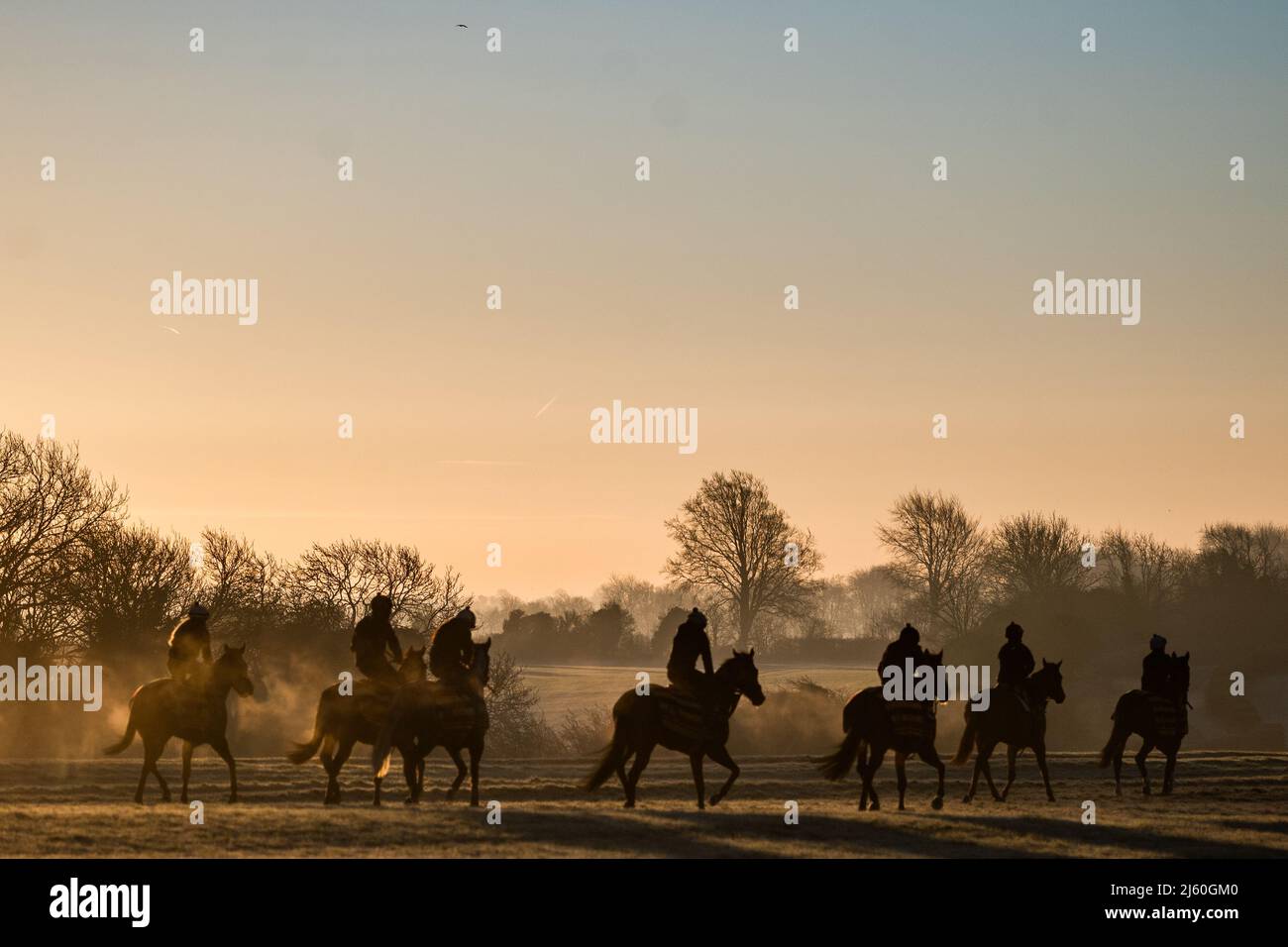 Rennpferde trainieren bei Sonnenaufgang in den Galops über dem Oberen Lambourn in den Berkshire Downs. April 2022 Stockfoto