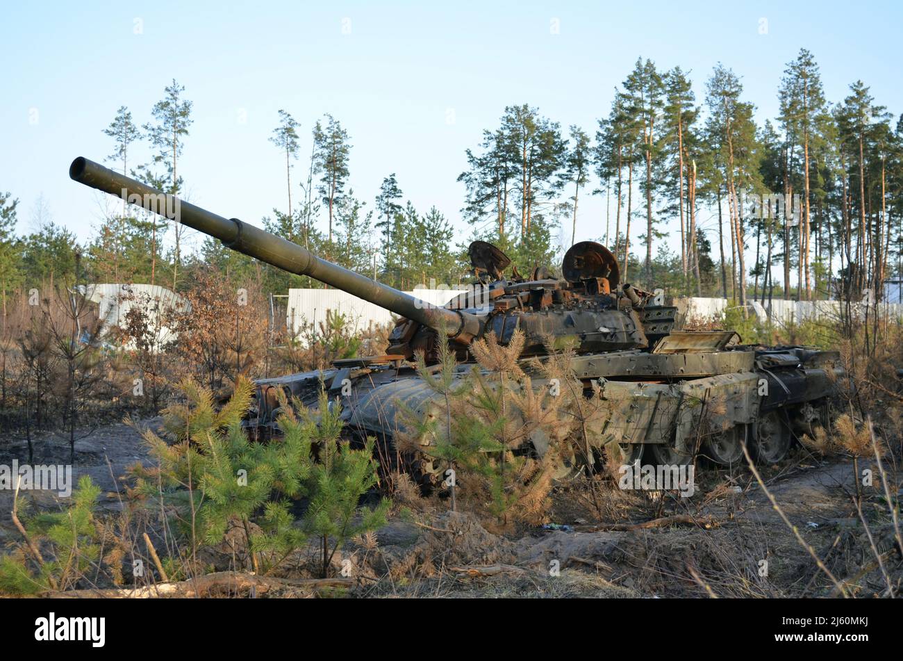 Dmytriwka, Region Kiew, Ukraine - 14. April 2022: Zerstörte russischen Panzer nach den Gegenangriffen der ukrainischen Streitkräfte. Krieg Russlands gegen die Ukraine Stockfoto