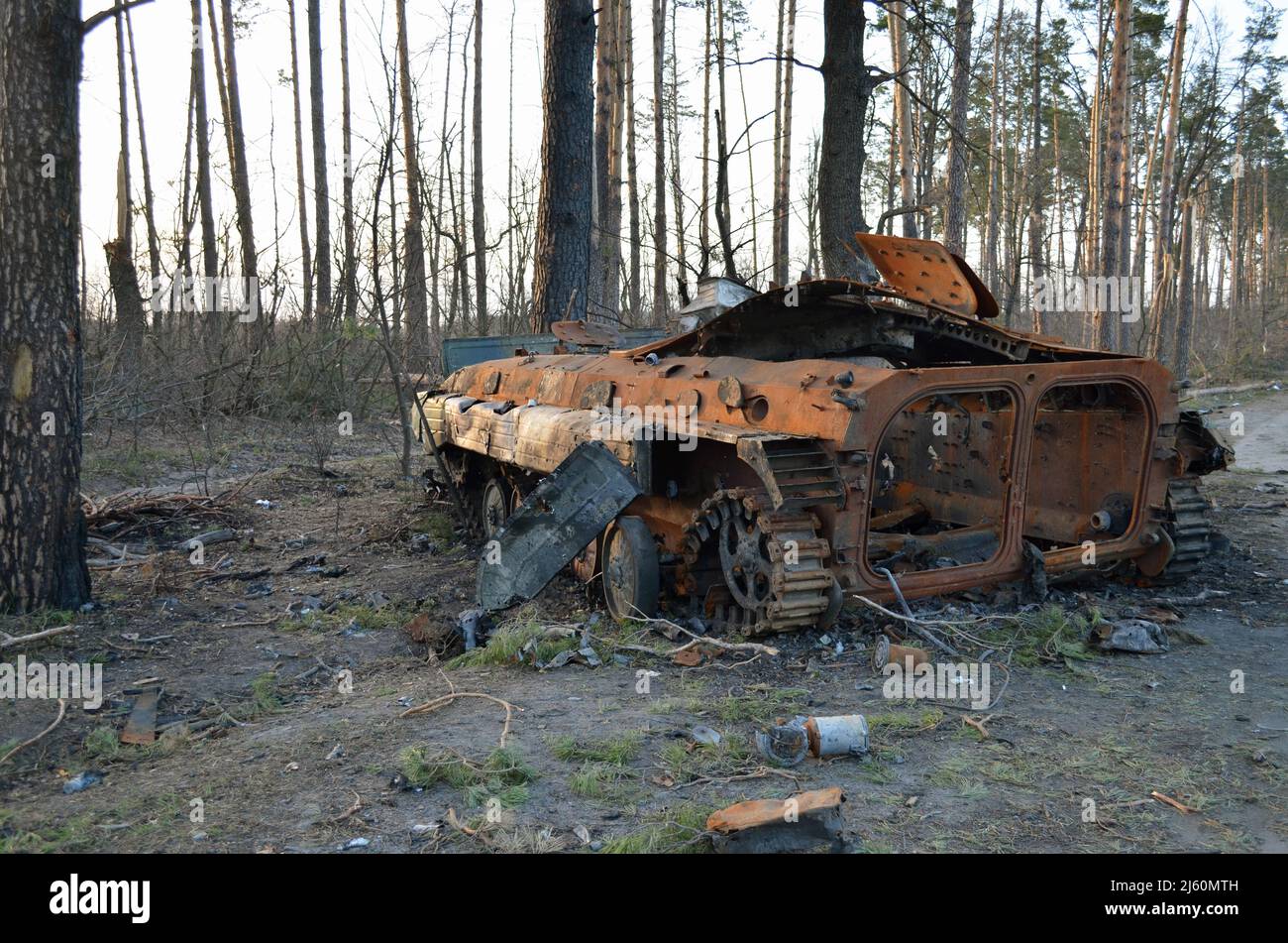 Dmytriwka, Kiew, Ukraine - 14. Apr 2022: Zerstörtes Infanteriekampffahrzeug der russischen Armee nach den Gegenangriffen der ukrainischen Streitkräfte Stockfoto
