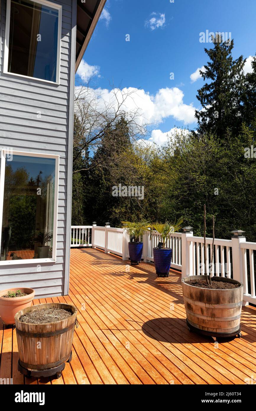 Home Outdoor Holz Hinterhof Terrasse nur frisch gebeizt im frühen Frühling Zeit mit Bäumen und Himmel im Hintergrund Stockfoto