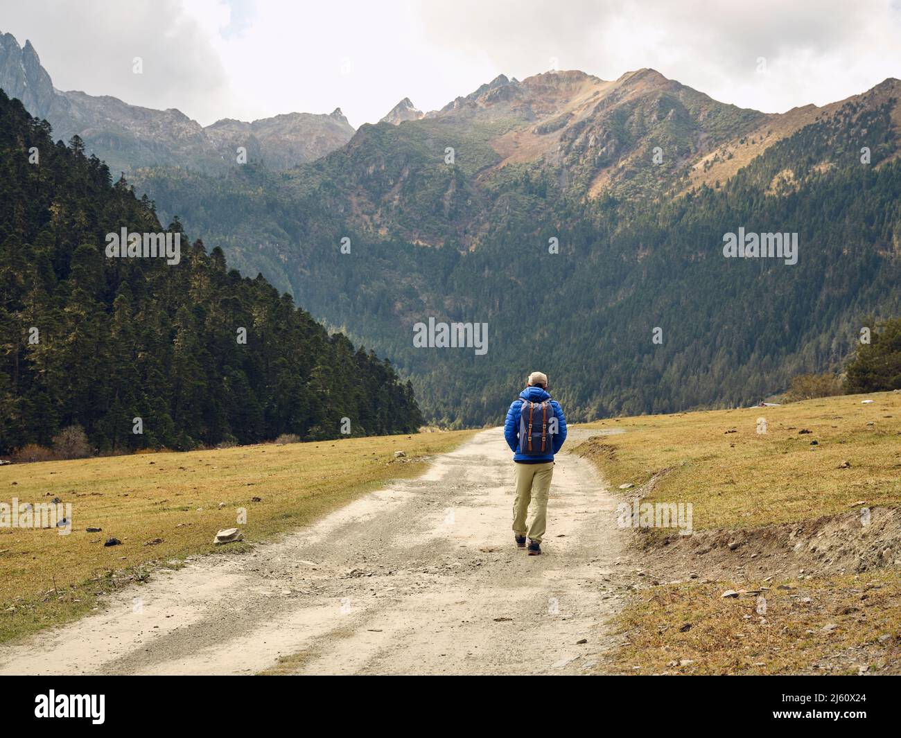 Rückansicht des asiatischen Wanderreisenden Rucksacktouristen, der auf einer unbefestigten Straße in Richtung Berge und Wald geht Stockfoto