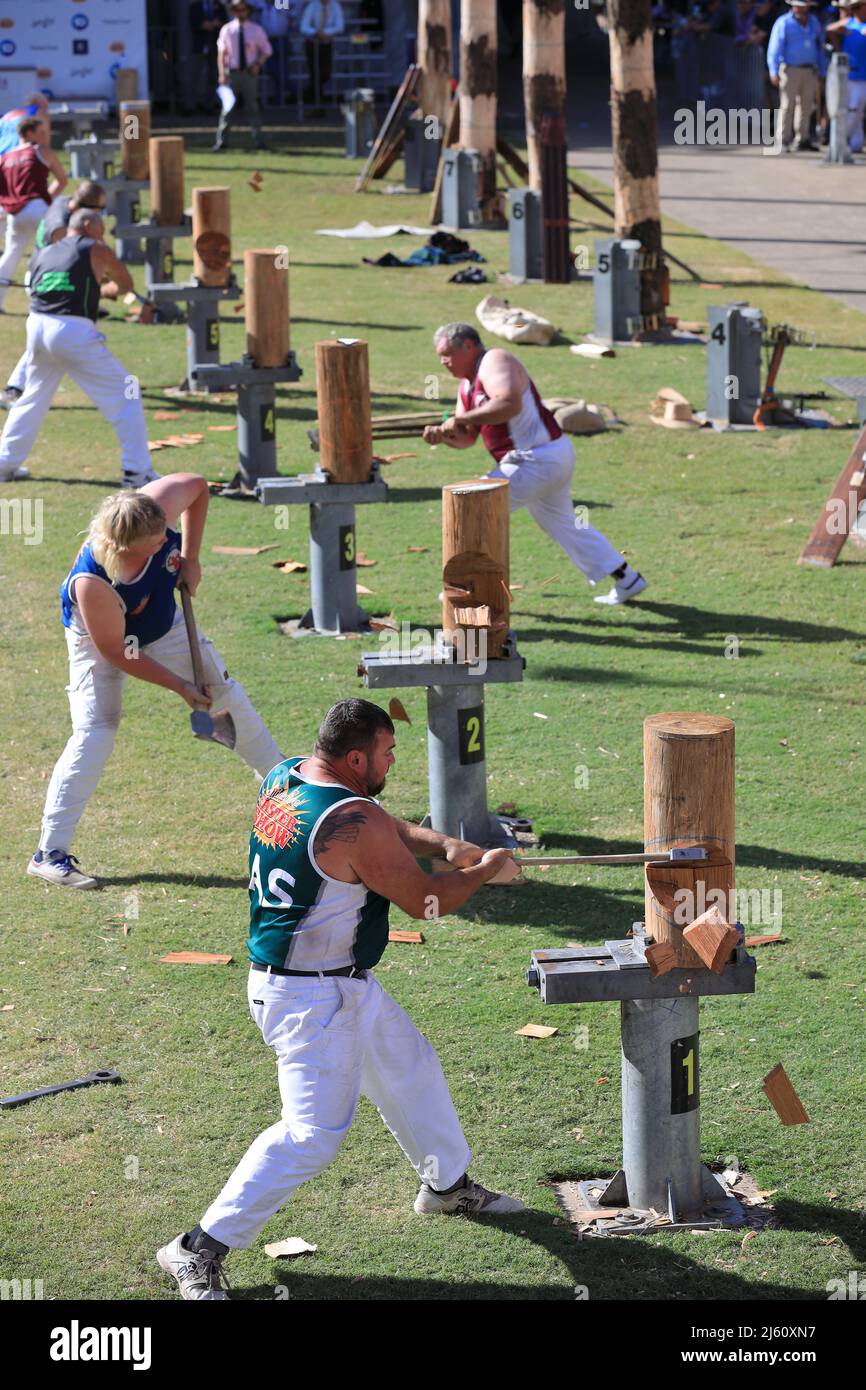 Sydney Olympic Park, NSW, Australien - 15. April 2022. Die Royal Easter Show 300mm steht Block Holz hacken Wettbewerb Hitze. Stockfoto