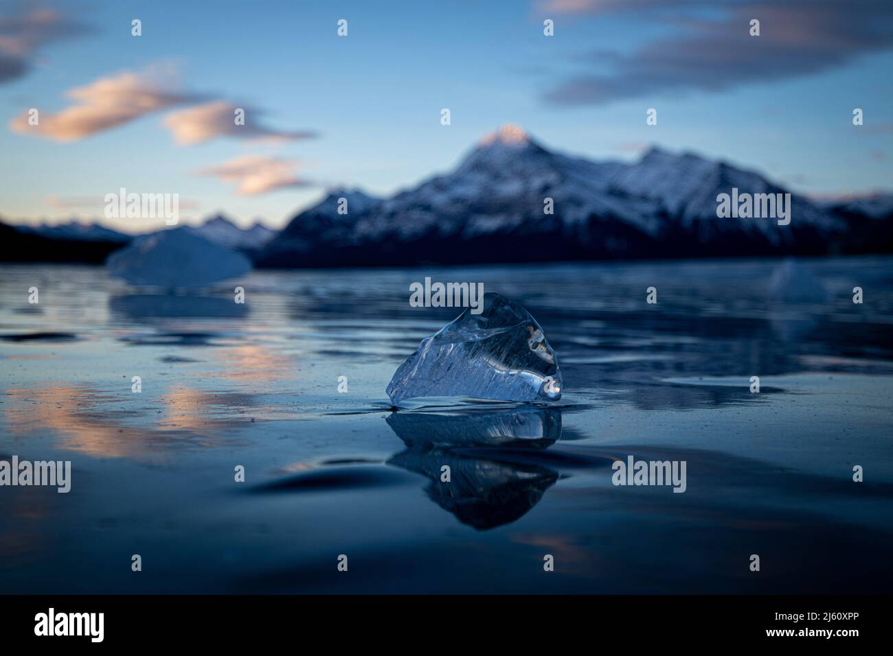 Einzigartige Eisformationen am Abraham Lake mit Bergen im Hintergrund bei Sonnenaufgang im Winter Stockfoto