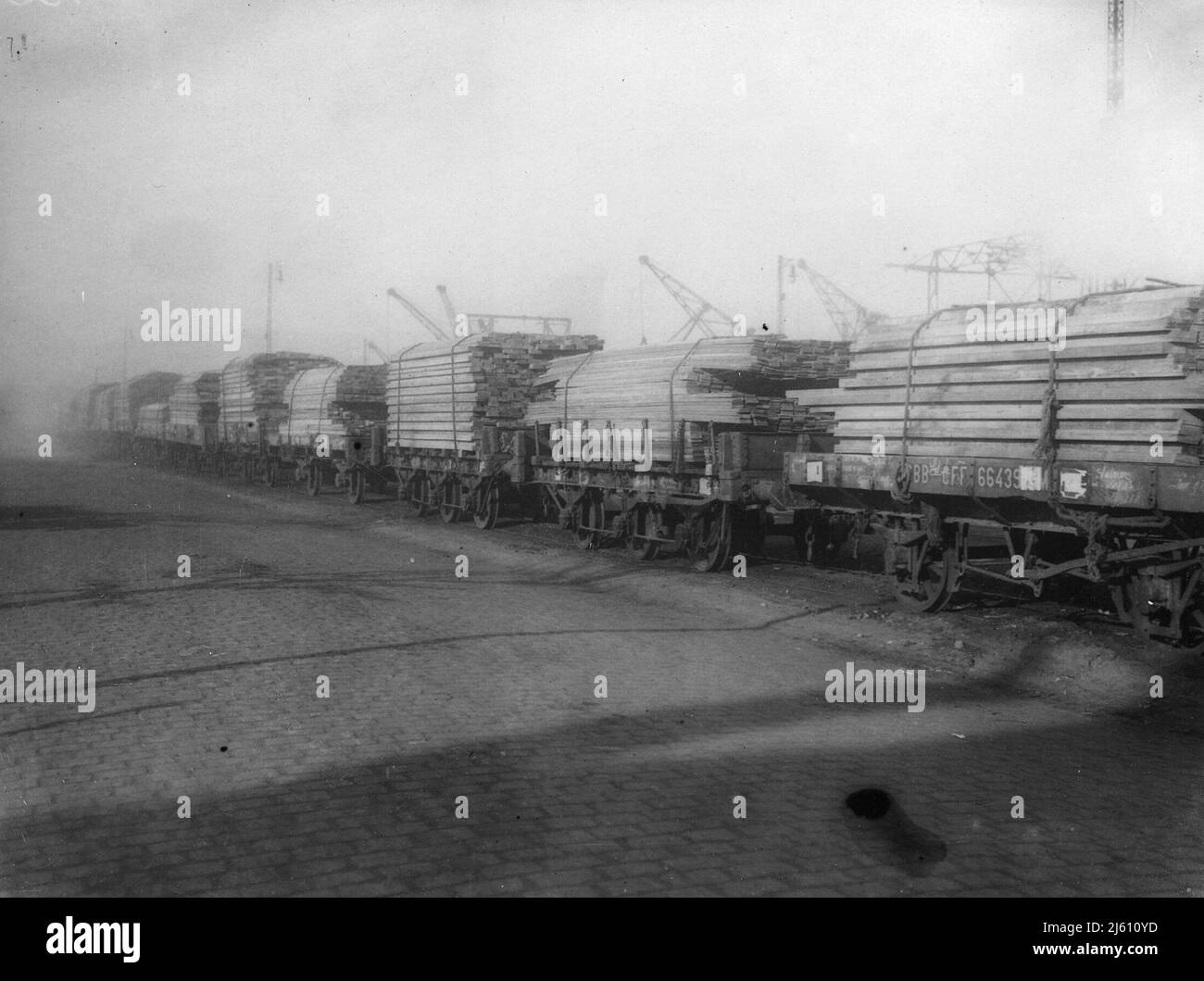 Holz wird mit der Eisenbahn transportiert, Frankreich. Eine lange Reihe von Eisenbahnfächern, die jeweils mit Holz übersäen sind. Stockfoto