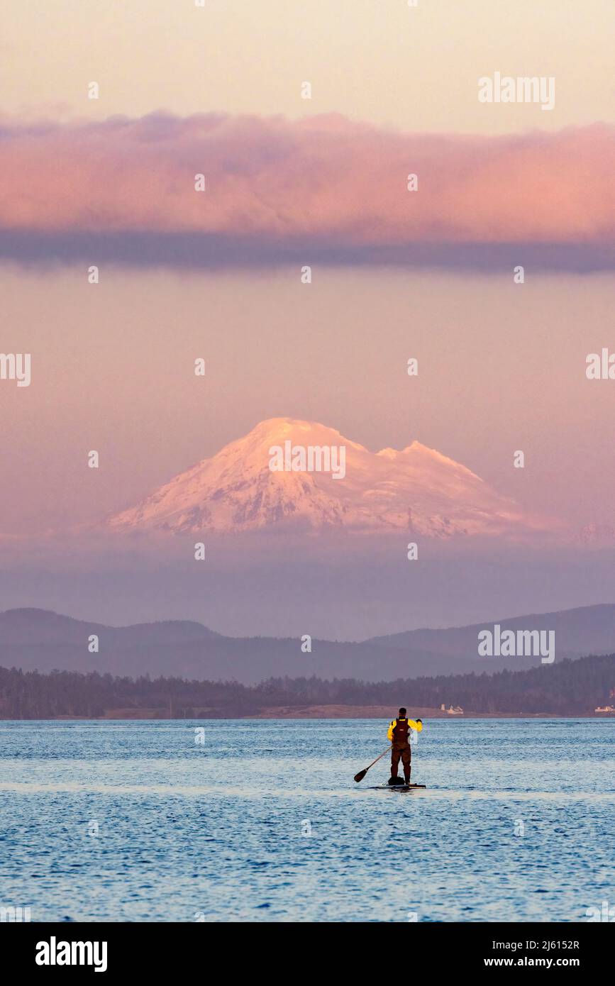 Stand-Up Paddle Boarder mit Mount Baker im Hintergrund. Oak Bay in der Nähe von Victoria, Vancouver Island, British Columbia, Kanada Stockfoto