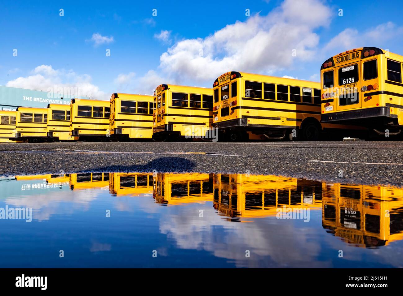 Farbenfrohe Schulbus-Reflektionen am Ogden Point Pier - Victoria, Vancouver Island, British Columbia, Kanada Stockfoto