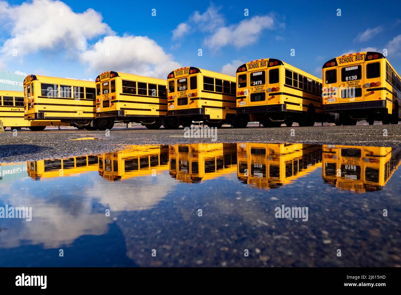 Farbenfrohe Schulbus-Reflektionen am Ogden Point Pier - Victoria, Vancouver Island, British Columbia, Kanada Stockfoto