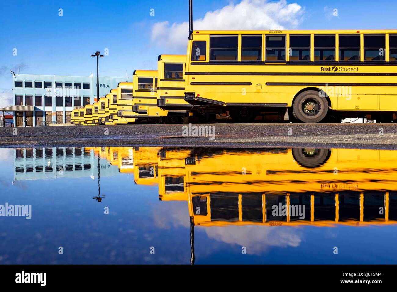 Farbenfrohe Schulbus-Reflektionen am Ogden Point Pier - Victoria, Vancouver Island, British Columbia, Kanada Stockfoto