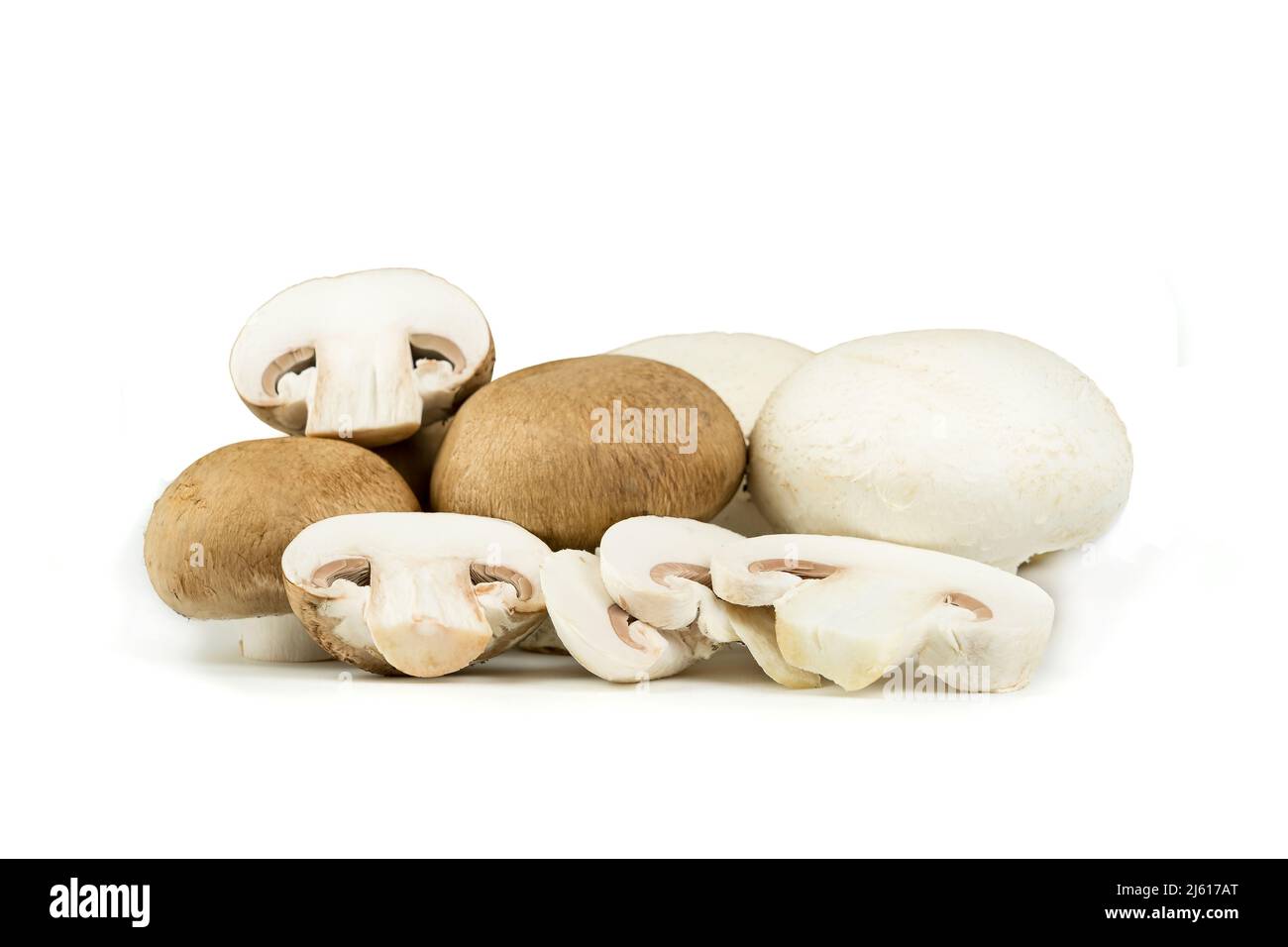 Gruppe von Champignons, weiß und portobello, ganz und in Scheiben geschnitten. Isoliert auf weißem Hintergrund. Gemüsehintergrund und Kopierbereich. Stockfoto