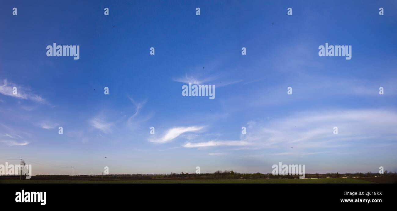 Panorama des blauen Himmels mit federleichten Wolken Stockfoto