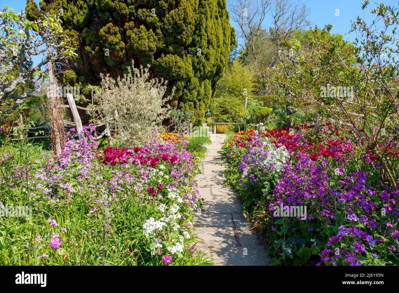 Farbenfrohe Frühlingsblumen in einem Hüttengarten in Great Dixter, East Sussex, Großbritannien Stockfoto