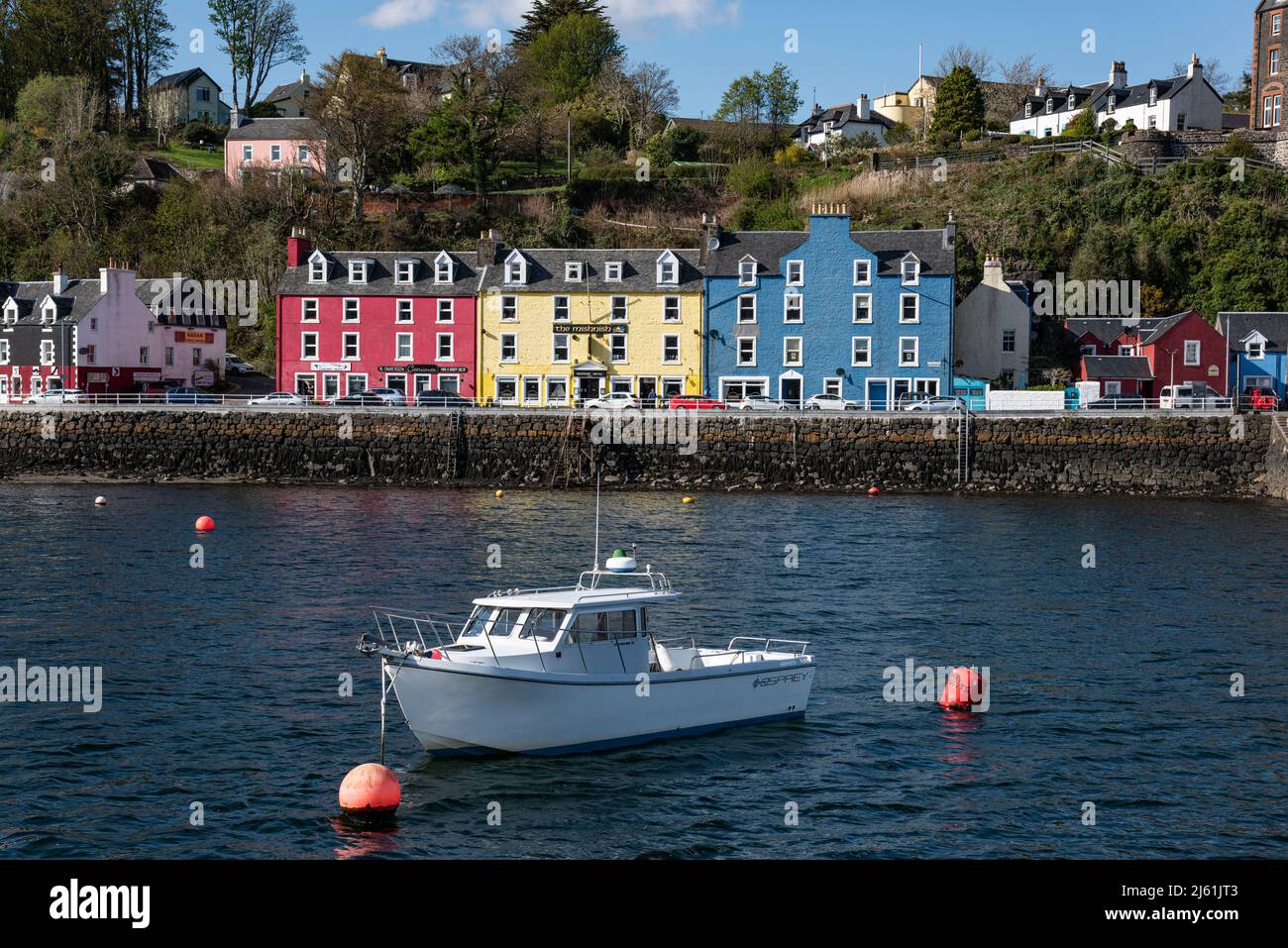 Die schönen pastellfarbenen Häuser von Tobermory Harbour. Tobermory ist ein kleines Fischerdorf im Norden von Mull und Insel der Inneren Hebriden. Stockfoto