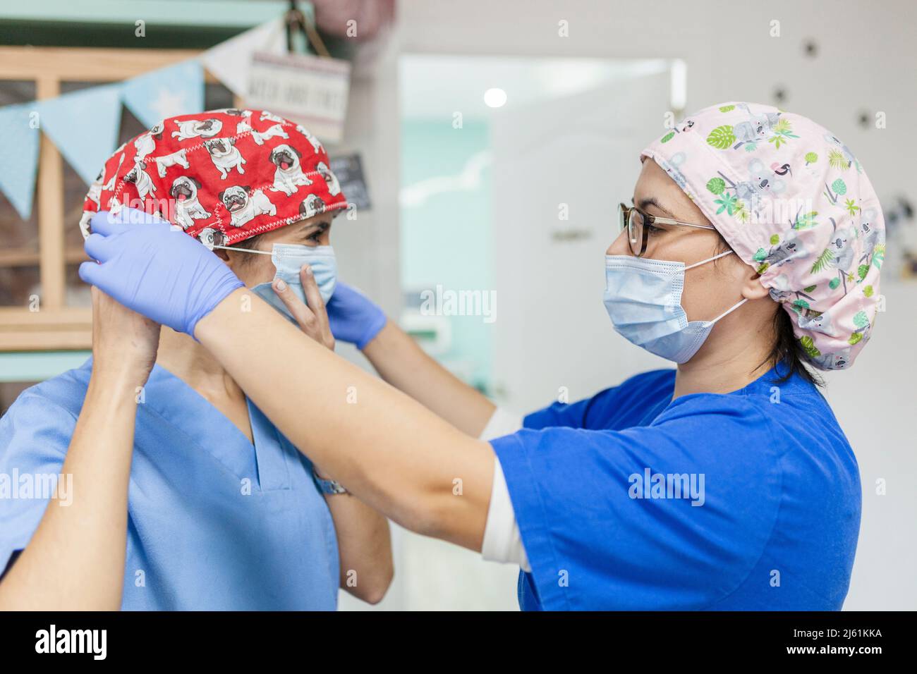 Mitarbeiter im Gesundheitswesen hilft Kollegen, eine schützende Gesichtsmaske in der Tierklinik zu tragen Stockfoto