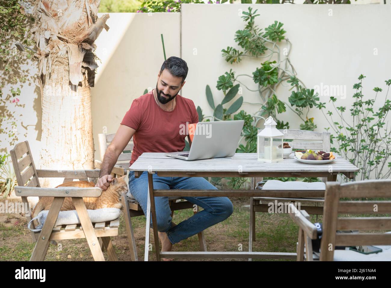 Lächelnder Mann mit Laptop streichelnder Katze, der im Garten auf einem Stuhl sitzt Stockfoto