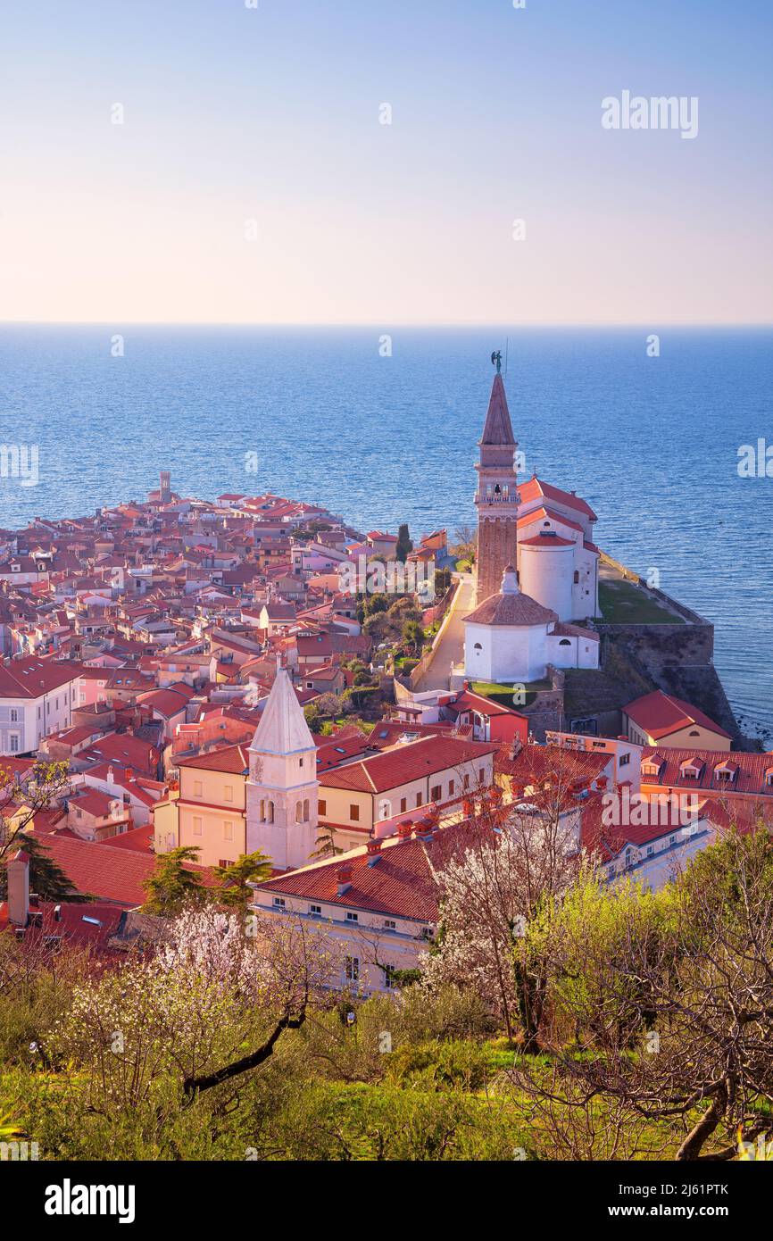 Piran, Slowenien. Luftbild des schönen Piran, Slowenien bei Sonnenuntergang im Frühling. Stockfoto