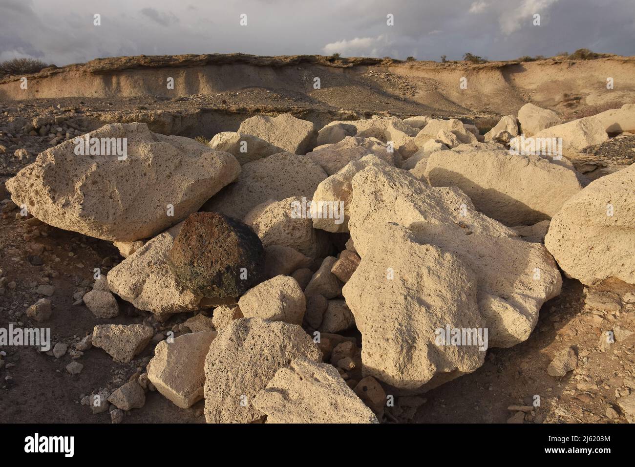 Vulkanische Landschaft mit porösen Bimssteinfelsen, südlich von Teneriffa Kanarische Inseln Spanien. Stockfoto