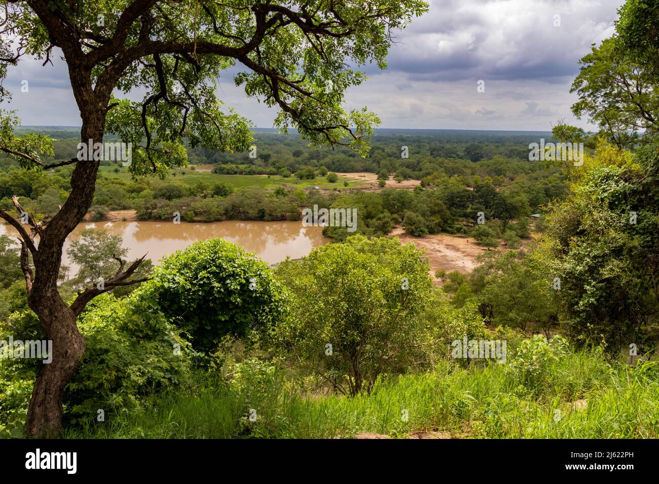 Blick vom Mole Motel im Mole National Park Stockfoto