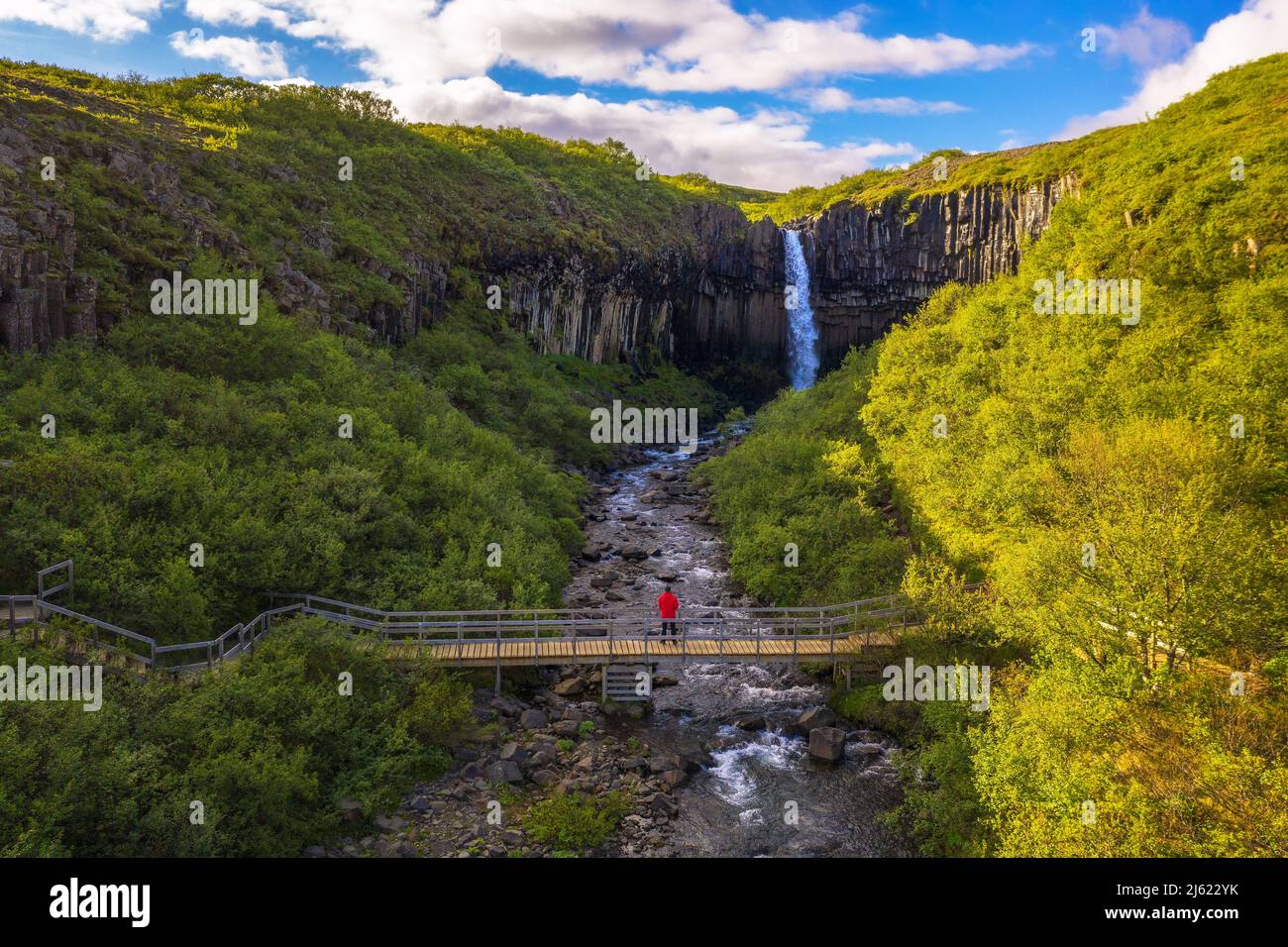 Wanderer schaut auf den Wasserfall Svartifoss im Vatnajokull National Park, Island Stockfoto