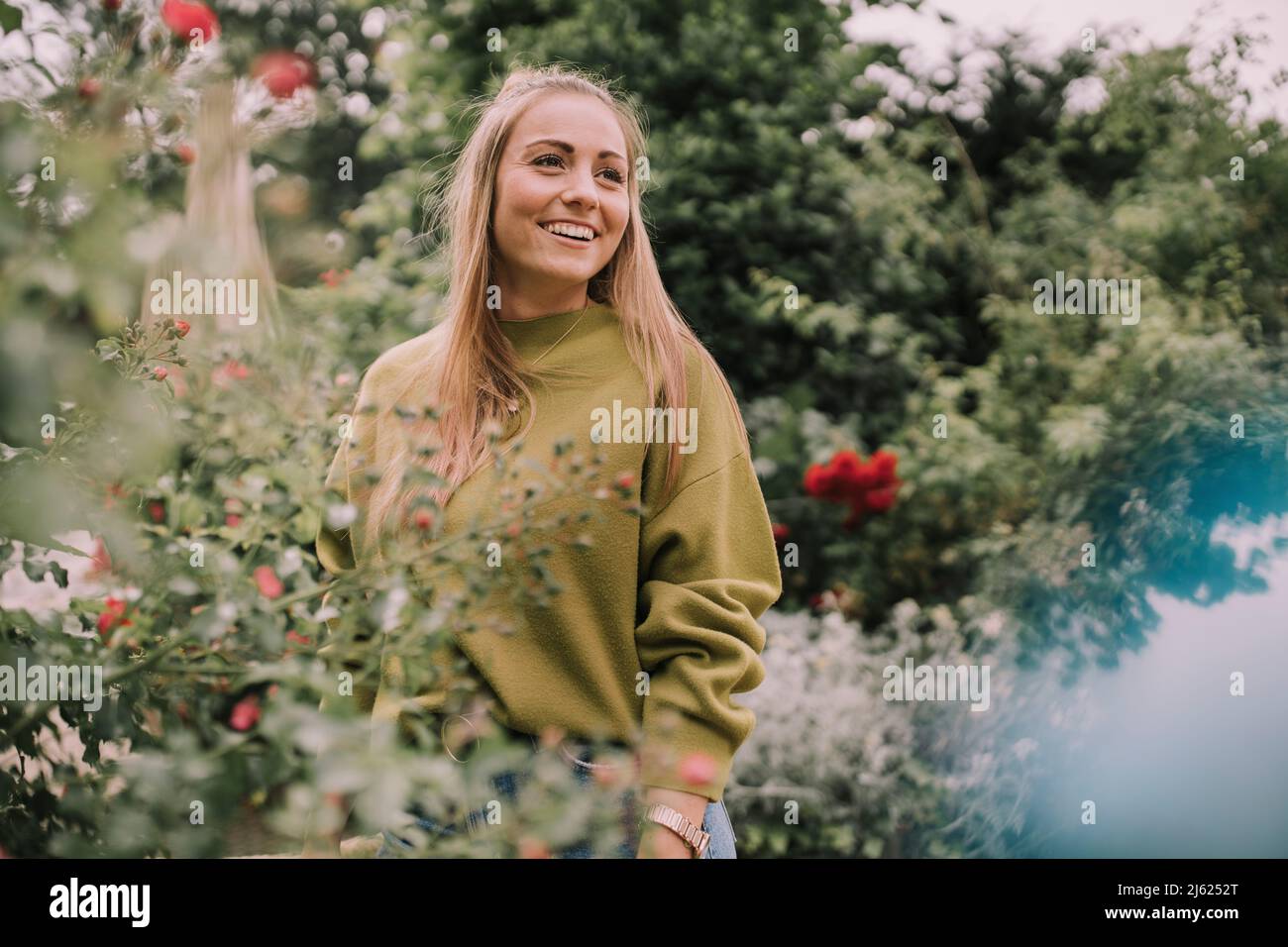 Besinnliche schöne Frau, die neben Rosenpflanzen steht Stockfoto