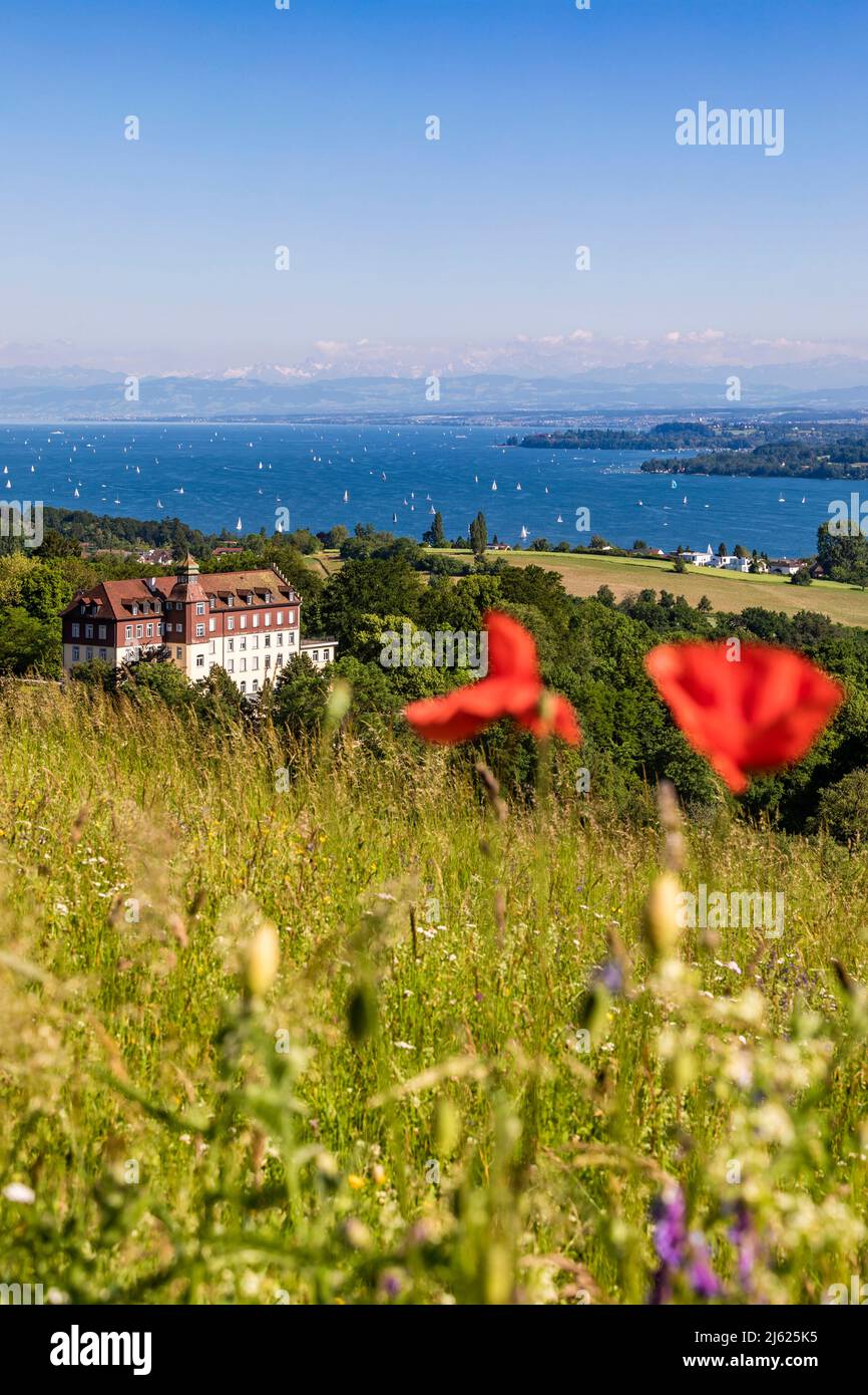 Deutschland, Baden-Württemberg, Uberlingen, Salem International College und Bodensee im Sommer von der Hodinger hohe aus gesehen Stockfoto