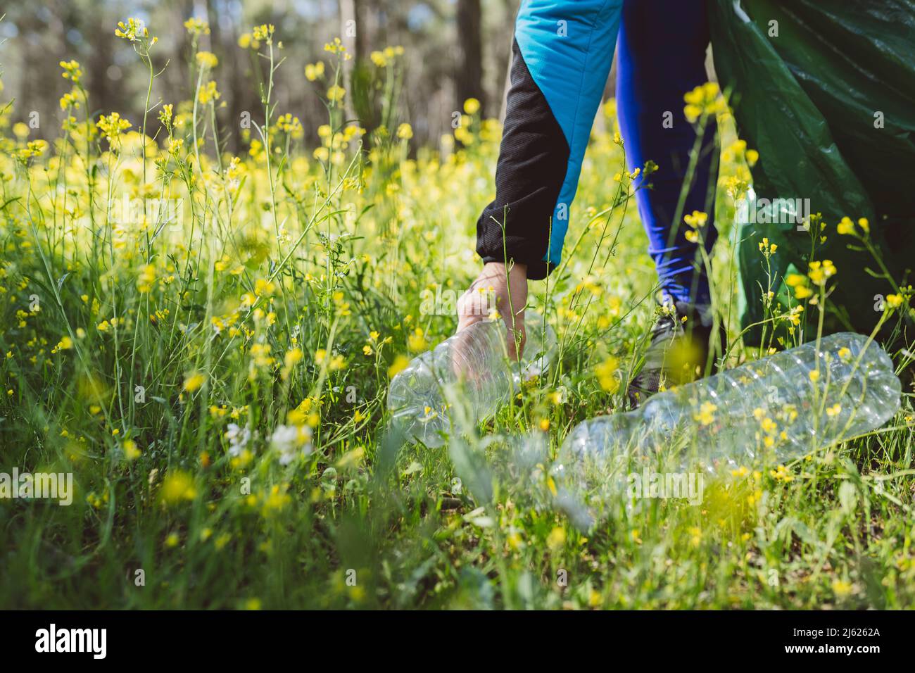 Frau sammelt Plastikflaschen im Wald Stockfoto