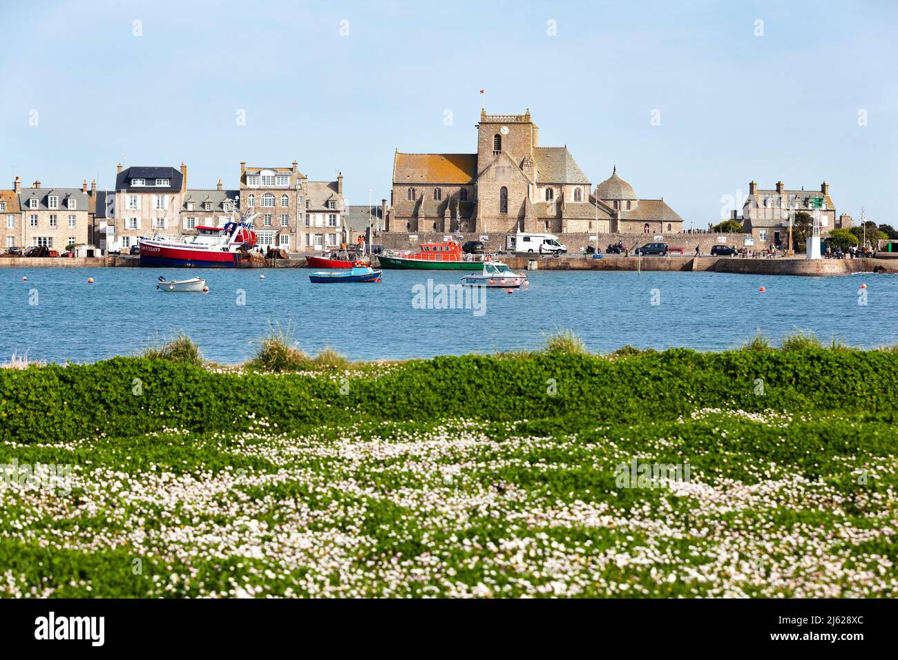 Blumen im Frühling im Hafen von Barfleur, kleine Stadt auf der Halbinsel Cotentin, Manche, Normandie, Frankreich Stockfoto