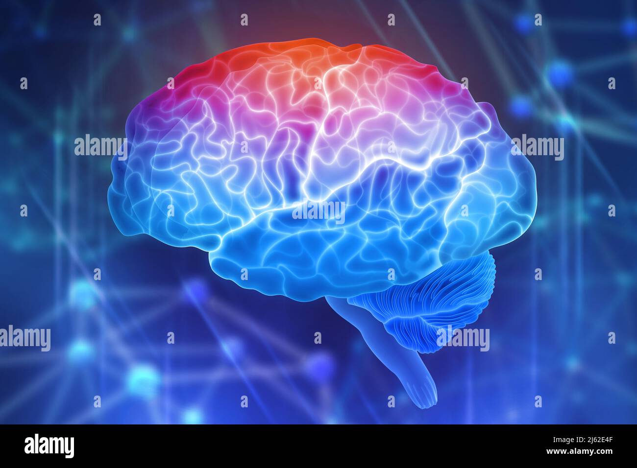 Menschliches Gehirn auf blauem Hintergrund. Aktive Teile des Gehirns. Computerdenken schaffen. 3D Illustration der Anwendung von Innovation in der Wissenschaft Stockfoto