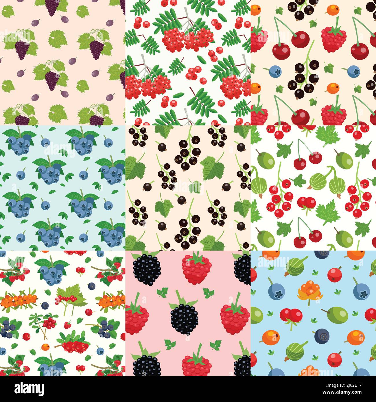 Set von neun nahtlose Beeren Muster mit Zweigen von rot Und schwarze Johannisbeere Himbeere Heidelbeere Dewberry flache Vektor-Illustration Stock Vektor