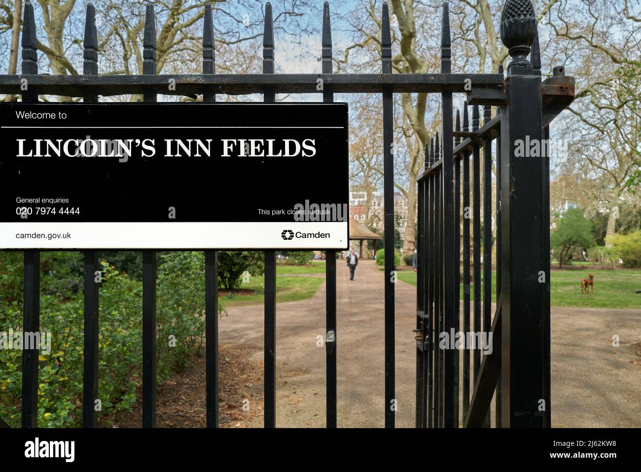 Lincoln's Inn Fields Park, Camden, London, England. Stockfoto