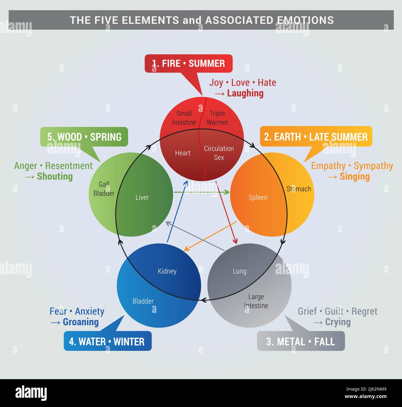 5 Elemente Diagramm mit Organen und verbundenen Emotionen, Gesundheit ...