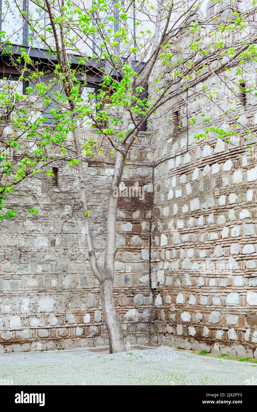 Die alte Stadtmauer in Tiflis/Georgien Stockfoto