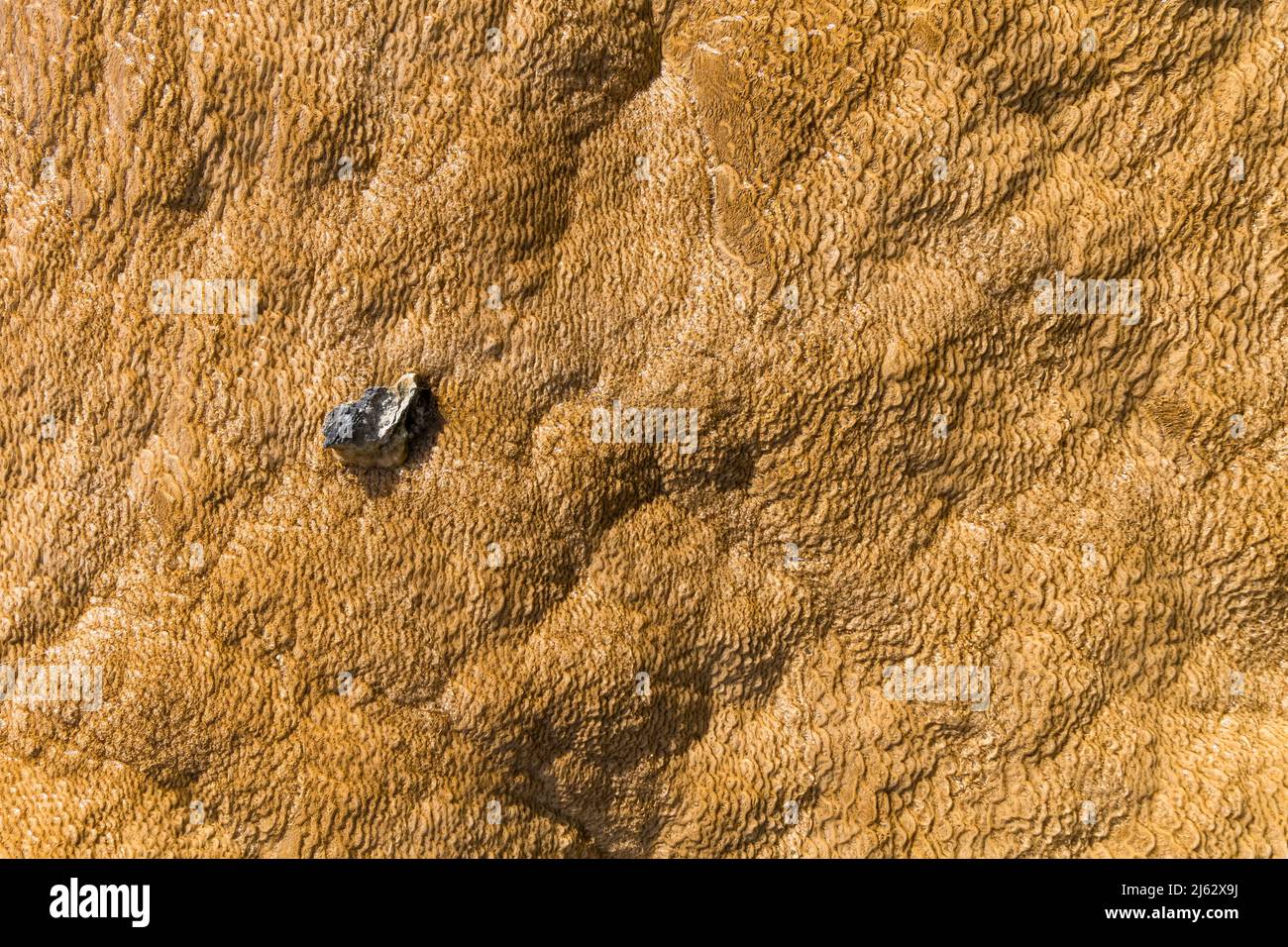 Details der Felsformationen in den Mammoth Hot Springs im Yellowstone National Park, Wyoming, USA Stockfoto