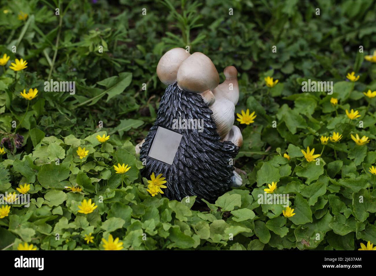 Dekorative kleine Solar Garden Licht Igel, Laternen in Blumenbett in grünem Laub. Gartengestaltung. Stockfoto