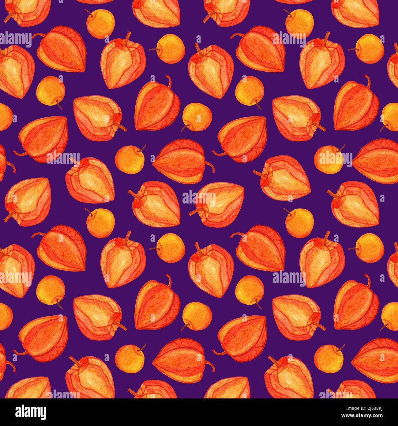 Physalis Aquarell nahtloses Muster auf violettem Hintergrund isoliert Stockfoto