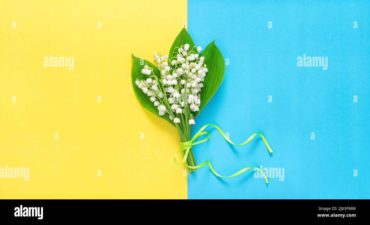 Frühlingsblumen. Maiglöckchen auf gelbblauem Hintergrund Stockfoto