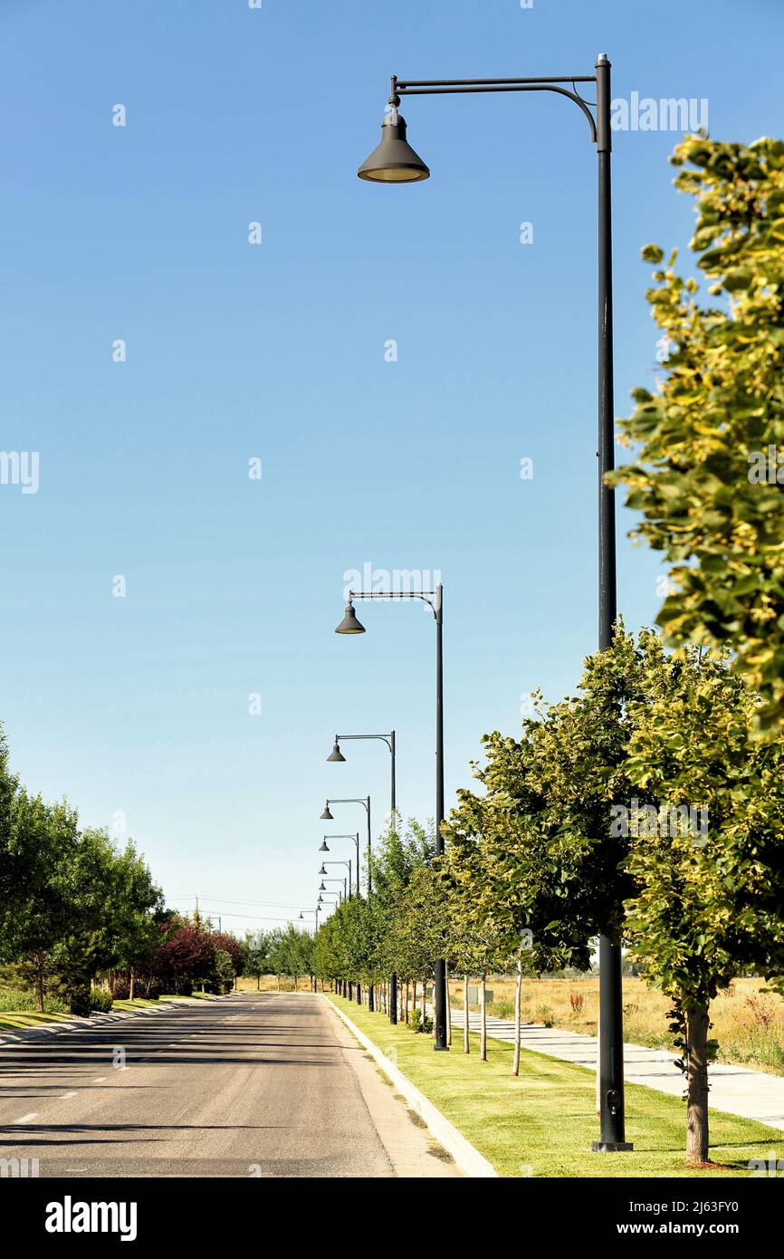 Eine von Bäumen gesäumte Straße mit schwarzen Lampen im Vintage-Stil in einer Reihe, die in die Ferne zurückweichen. Stockfoto